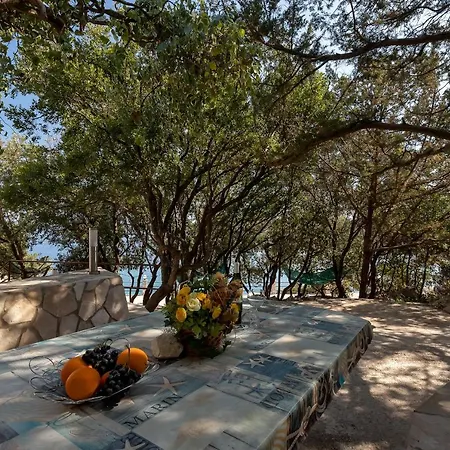 Apartment By The Sea Cove Pokrivenik, Hvar - 10427